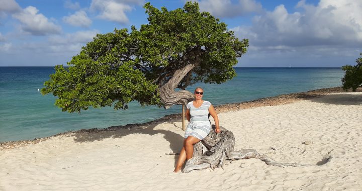 perfekte Reise nach Aruba